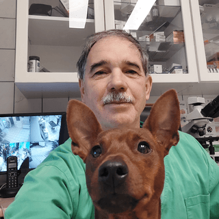 Dr. Saufert Gyula - Állatorvos