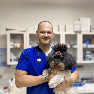 Dr. Minya László - Állatorvos